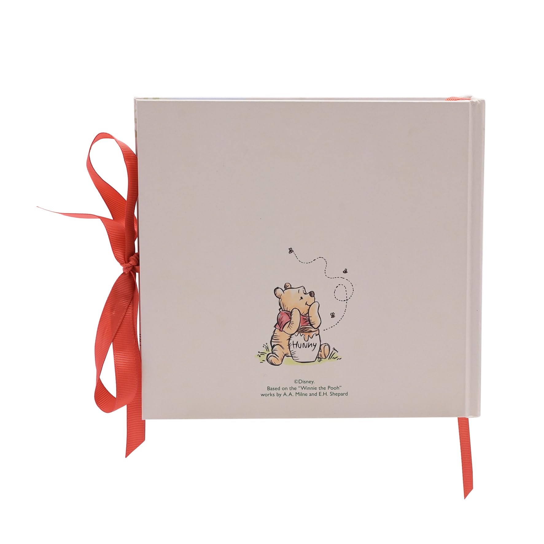 Disney Winnie The Pooh Photo Album : Amazon.es: Bebé